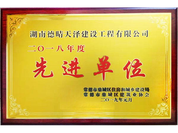 2018年度鼎城协会先进单位2019年1月颁发