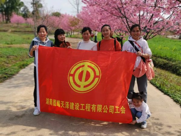 湖南德晴天泽建设工程有限公司,房屋建筑工程施工,园林绿化设计施工,道路工程施工哪家好