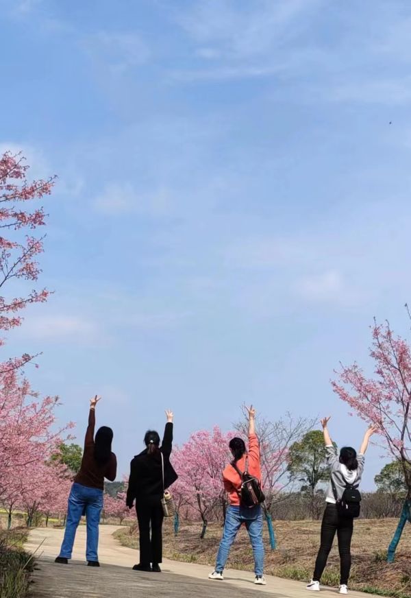 湖南德晴天泽建设工程有限公司,房屋建筑工程施工,园林绿化设计施工,道路工程施工哪家好