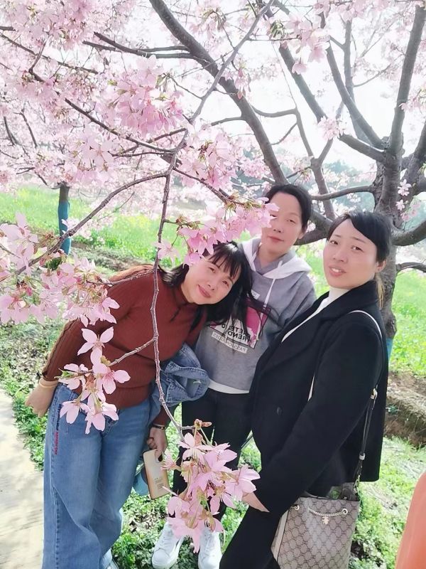 湖南德晴天泽建设工程有限公司,房屋建筑工程施工,园林绿化设计施工,道路工程施工哪家好
